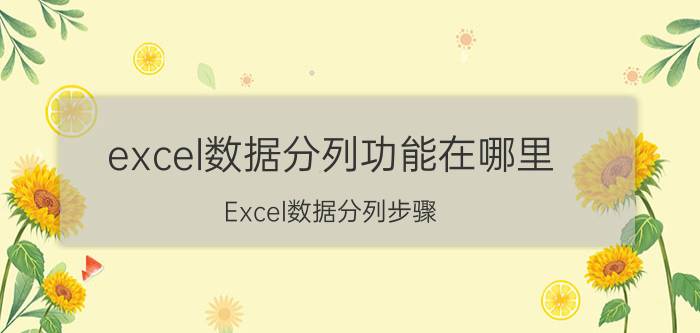 excel数据分列功能在哪里 Excel数据分列步骤